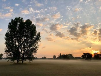 Trees on field against sky during sunset