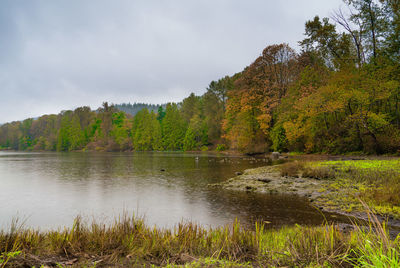 Scenic view of lake by trees against sky