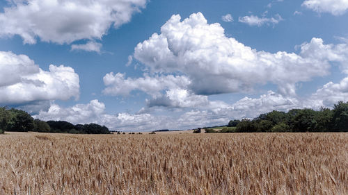 Panoramic view of agricultural field against sky