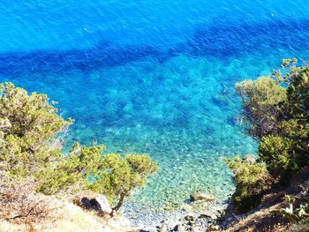 Scenic view of sea