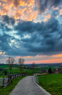 Footpath amidst trees against sky during sunset