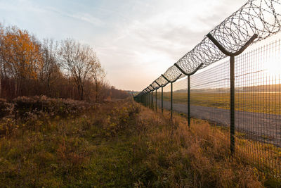 Trees on field against sky