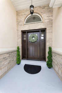 Potted plant on wall of building