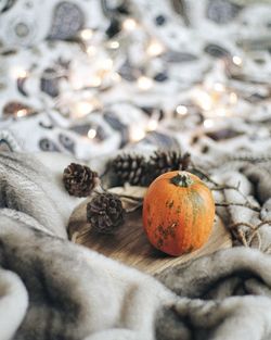 Close-up of pumpkin and pine cones on blanket