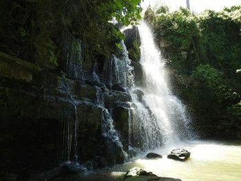Scenic view of waterfall in forest