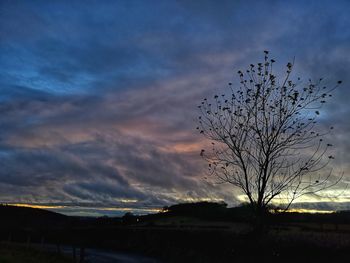 Silhouette bare tree on field against sky at sunset