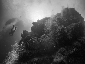 Man swimming in sea