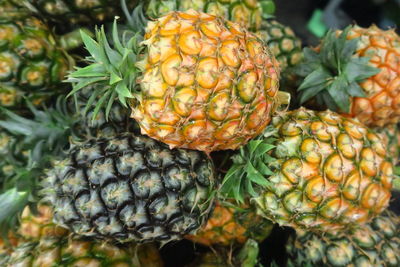 Close-up of pineapples on market 