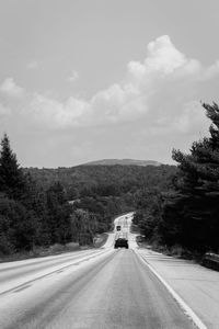 Country road along trees