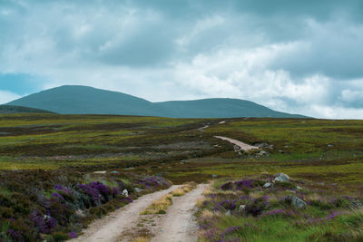 Dirt road amidst field against sky