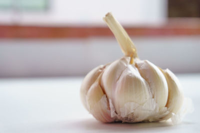 Close-up of garlic bulb on table