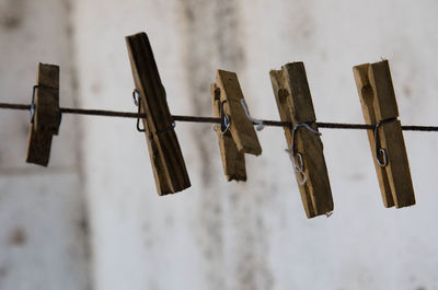 Close-up of clothes hanging on clothesline