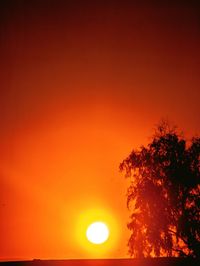 Silhouette tree against orange sky