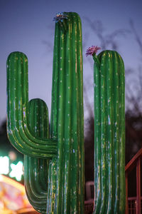 Close-up of green chili peppers on glass against sky