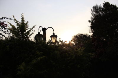 Silhouette of trees against sky