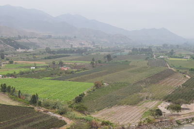Scenic view of agricultural field against mountains