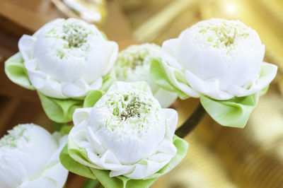 Close-up of white rose flower on table