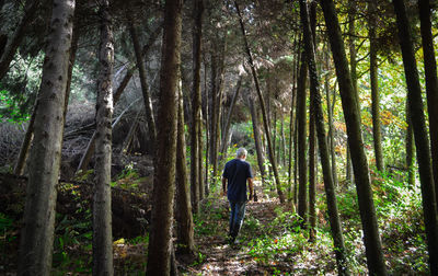 Rear view of man walking in forest