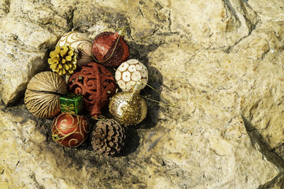 High angle view of shells on rock