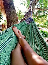 Low section of woman legs on tree trunk