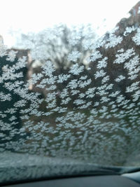 Close-up of snowflakes on car window
