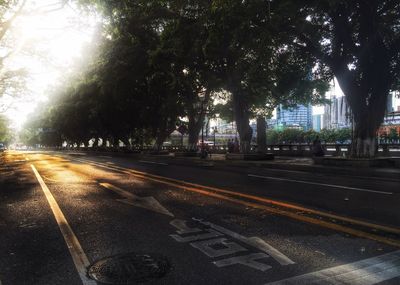 Road passing through forest