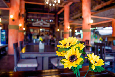 Close-up of yellow flowering plant in restaurant