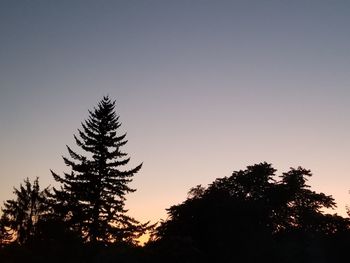 Low angle view of silhouette tree against sky during sunset