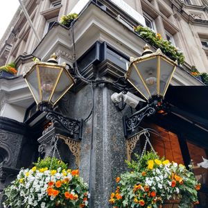 Low angle view of flowering plants on building