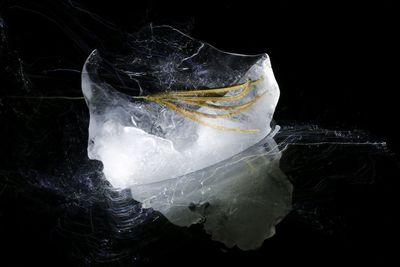 Close-up of ice crystals on rock against sea