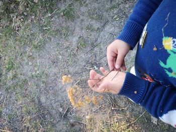 High angle view of woman hand on field