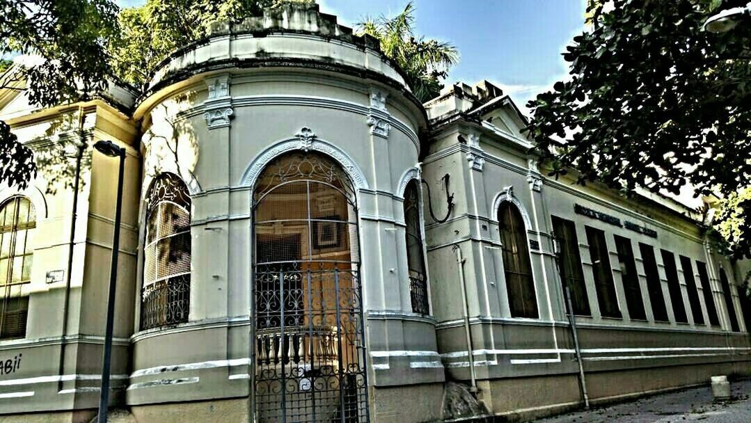 building exterior, architecture, built structure, window, tree, low angle view, arch, facade, day, clear sky, building, outdoors, sunlight, no people, glass - material, sky, city, residential building, house, entrance