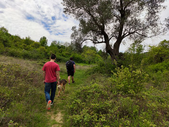 Rear view of men walking on road amidst trees