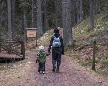 Rear view of men walking in forest
