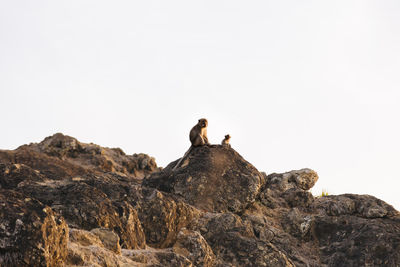 Low angle view of people sitting on rock against clear sky