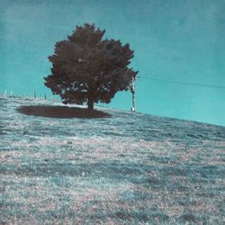 Tree on field by sea against sky