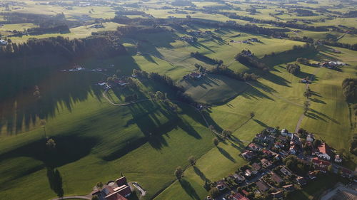 High angle view of agricultural field