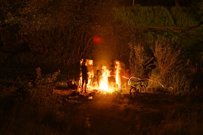 Bonfire in forest at night