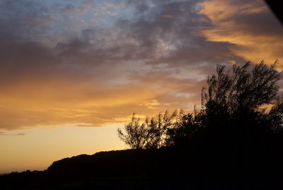 Silhouette trees against dramatic sky during sunset