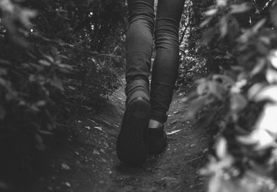Close-up of plant against blurred background