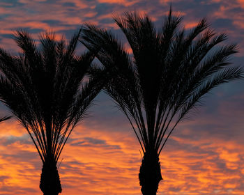 Low angle view of silhouette palm trees against orange sky