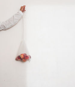 Person holding red rose on white background