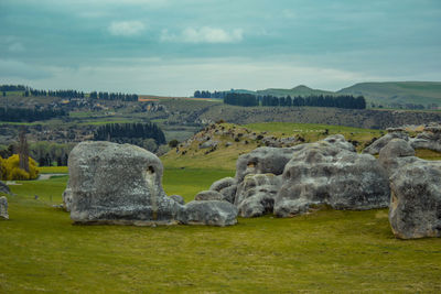 Scenic view of landscape against sky