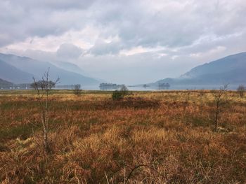 Scenic view of field against sky