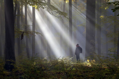 Man standing against trees in forest