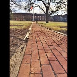 Bare trees in front of building