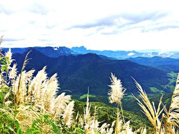 Scenic view of mountains against cloudy sky