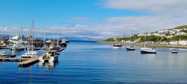 Sailboats moored in harbor