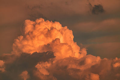 Low angle view of orange sky