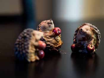 Close-up of fruits on table